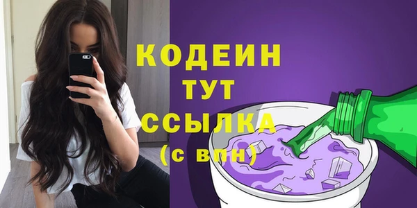 стафф Снежногорск