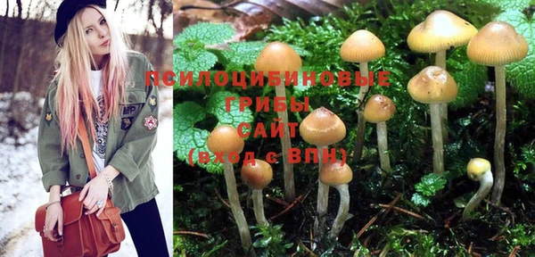 не бодяженный Белокуриха