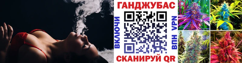 Купить  Владимир  Каннабис план 